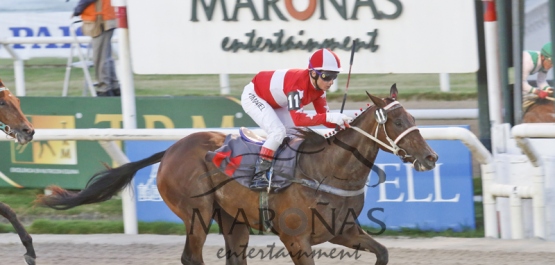 Domingo 10 de Enero de 2016 - Hipódromo Nacional de Maroñas