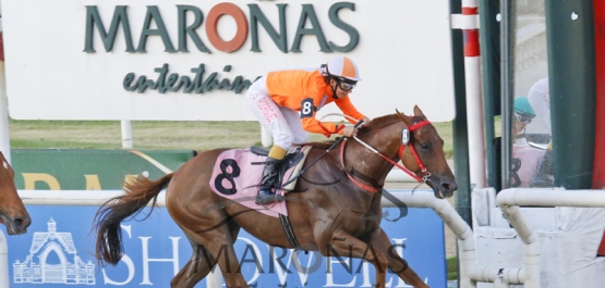 Viernes 22 de Enero de 2016 - Hipódromo Nacional de Maroñas