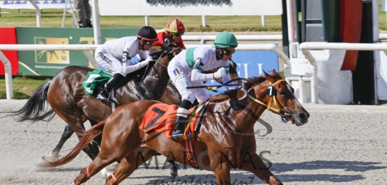 Domingo 24 de Enero de 2016 - Hipódromo Nacional de Maroñas