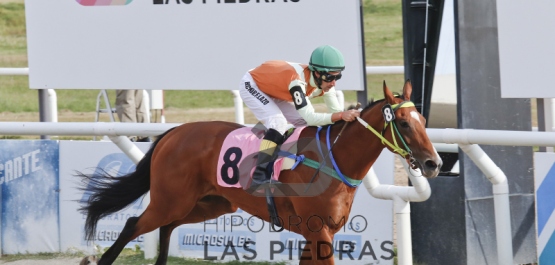 Sábado 30 de Enero de 2016 - Hipódromo Las Piedras