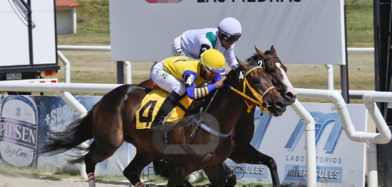 GRAN PREMIO SELECCIÓN