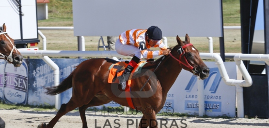 GRAN PREMIO JOCKEY CLUB