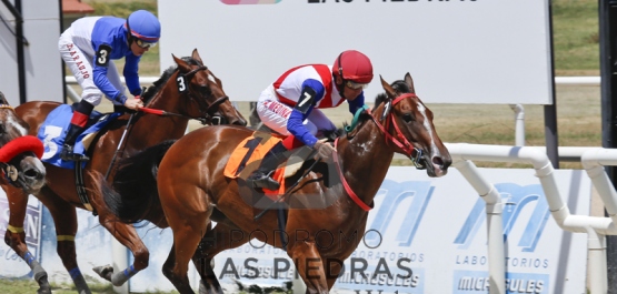 Sábado 6 de Febrero de 2016 - Hipódromo Las Piedras