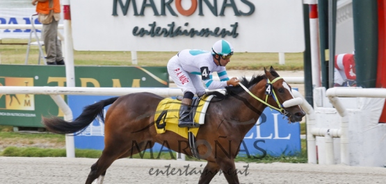 Domingo 7 de Febrero de 2016 - Hipódromo Nacional de Maroñas