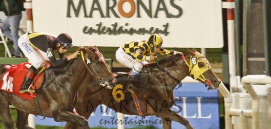 Viernes 26 de Febrero de 2016 - Hipódromo Nacional de Maroñas