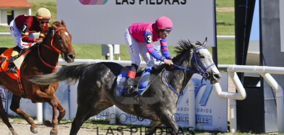 Sábado 27 de Febrero de 2016 - Hipódromo Las Piedras