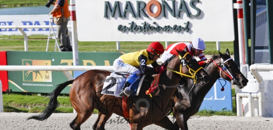 Domingo 28 de Febrero de 2016 - Hipódromo Nacional de Maroñas