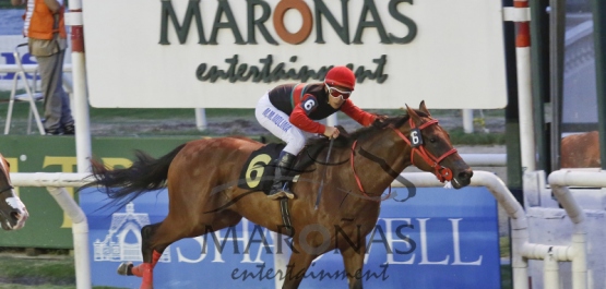 Viernes 4 de Marzo de 2016 - Hipódromo Nacional de Maroñas