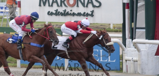 Viernes 11 de Marzo de 2016 - Hipódromo Nacional de Maroñas