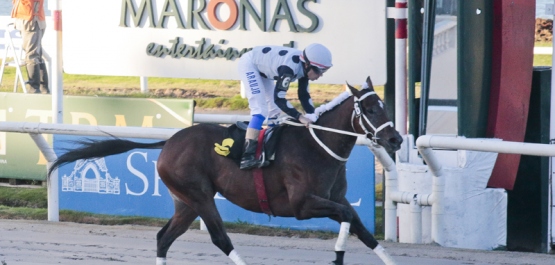 CLÁSICO JUANA MAUTONE DE COUSIÑO