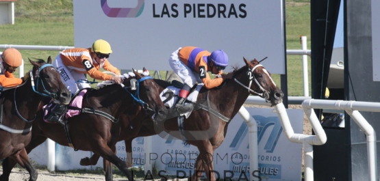 Sábado 12 de Marzo de 2016 - Hipódromo Las Piedras