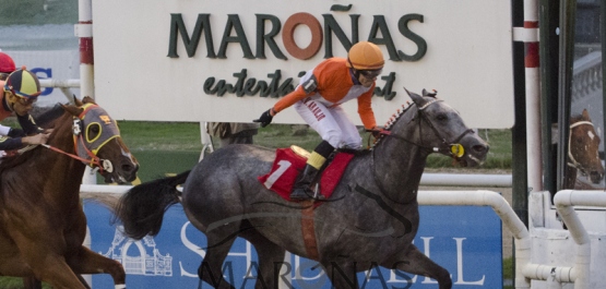 Domingo 20 de Marzo de 2016 - Hipódromo Nacional de Maroñas