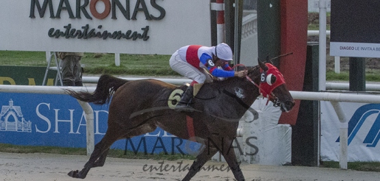 Domingo 27 de Marzo de 2016 - Hipódromo Nacional de Maroñas