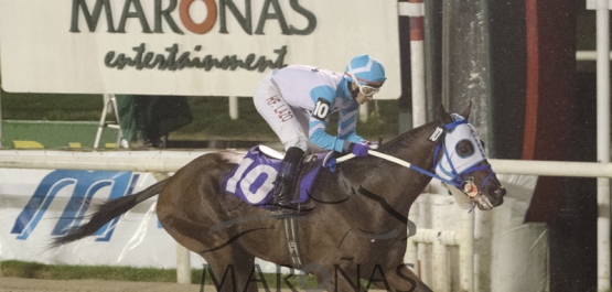 Viernes 1º de Abril de 2016 - Hipódromo Nacional de Maroñas