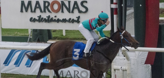 CLÁSICO HARAS DEL URUGUAY - POTRILLOS