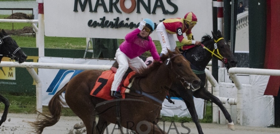 CLÁSICO HARAS DEL URUGUAY - POTRANCAS