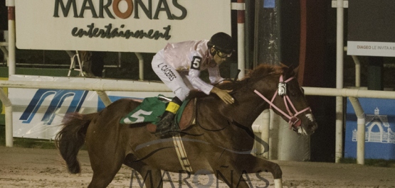 Sábado 2 de Abril de 2016 - Hipódromo Nacional de Maroñas