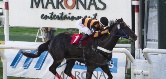 Viernes 8 de Abril de 2016 - Hipódromo Nacional de Maroñas