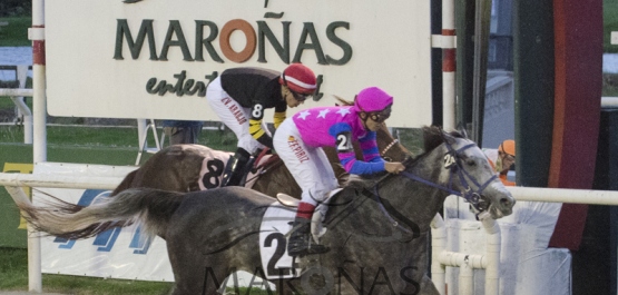 Sábado 9 de Abril de 2016 - Hipódromo Nacional de Maroñas