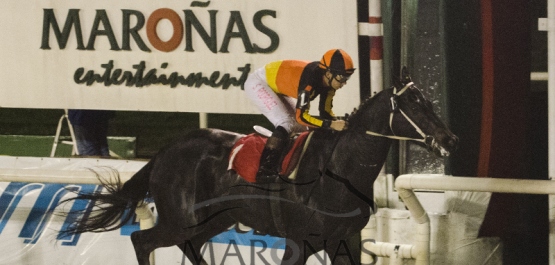 Viernes 15 de Abril de 2016 - Hipódromo Nacional de Maroñas