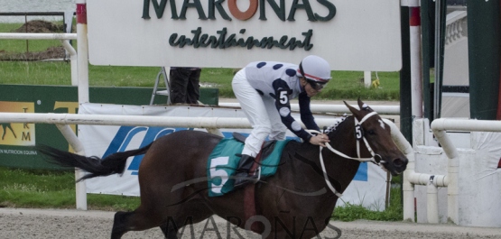 Sábado 16 de Abril de 2016 - Hipódromo Nacional de Maroñas