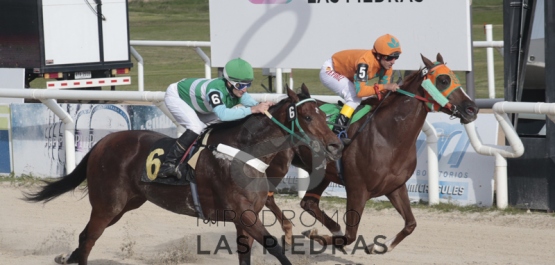 Domingo 8 de Mayo de 2016 - Hipódromo Las Piedras