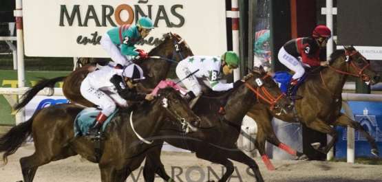 Sábado 14 de Mayo de 2016 - Hipódromo Nacional de Maroñas