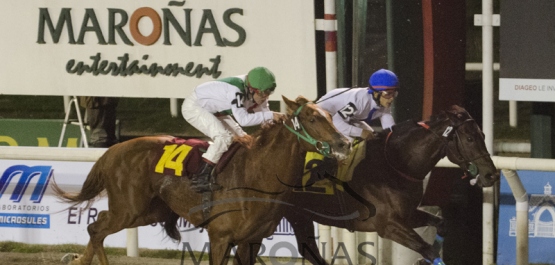 Domingo 15 de Mayo - Hipódromo Nacional de Maroñas