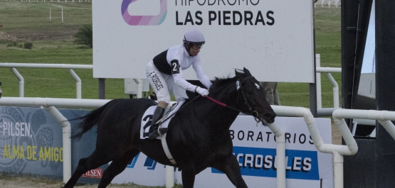 Gran Premio Ubaldo Seré