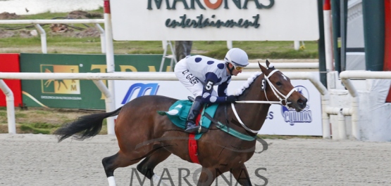 Sábado 21 de Mayo de 2016 - Hipódromo Nacional de Maroñas