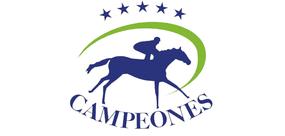 Sorteo de Gateras Campeones