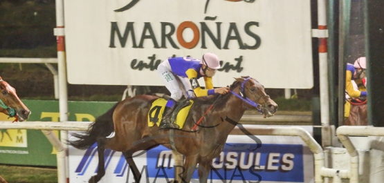 Sábado 3 de Junio de 2016 - Hipódromo Nacional de Maroñas