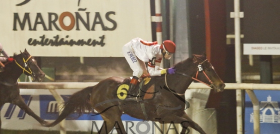 Viernes 17 de Junio de 2016 - Hipódromo Nacional de Maroñas