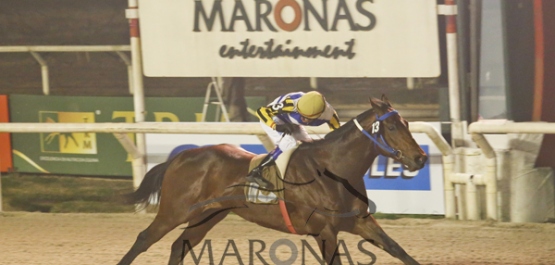 Handicap Especial Stud Charrúa