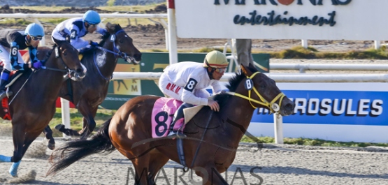 Sábado 18 de Junio de 2016 - Hipódromo Nacional de Maroñas