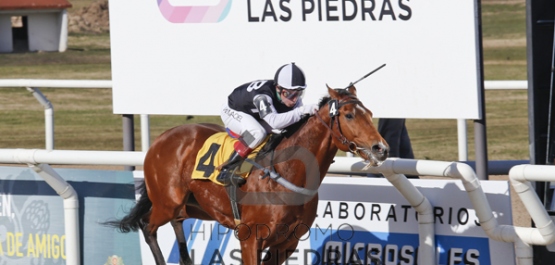 Domingo 19 de Junio de 2016 - Hipódromo Las Piedras