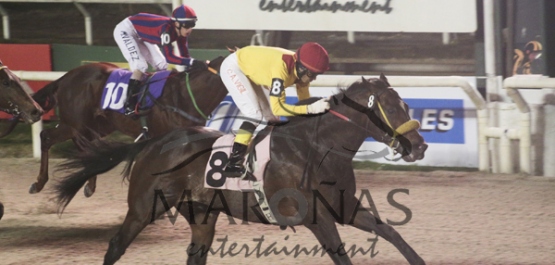 Viernes 24 de Junio de 2016 - Hipódromo Nacional de Maroñas
