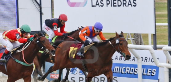Domingo 26 de Junio de 2016 - Hipódromo Las Piedras