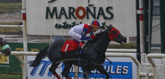 Sábado 2 de Julio de 2016 - Hipódromo Nacional de Maroñas