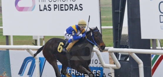 Domingo 3 de Julio de 2016 - Hipódromo Las Piedras
