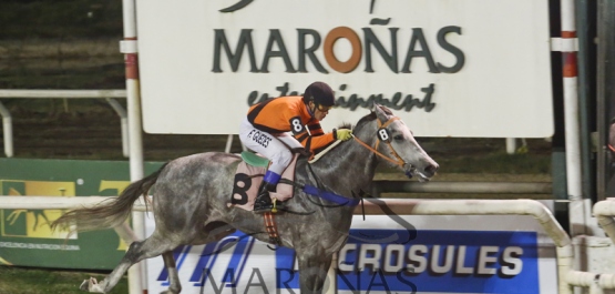 Viernes 8 de Julio de 2016 - Hipódromo Nacional de Maroñas