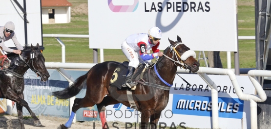 Domingo 10 de Julio de 2016 - Hipódromo Las Piedras