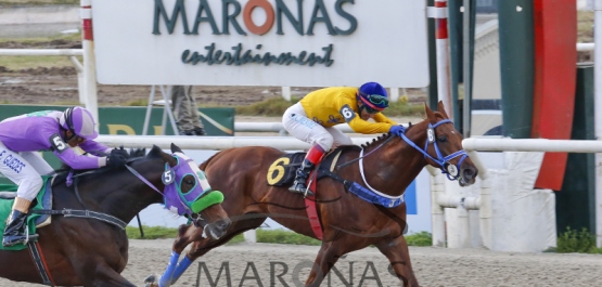 Sábado 16 de julio de 2016 - Hipódromo Nacional de Maroñas