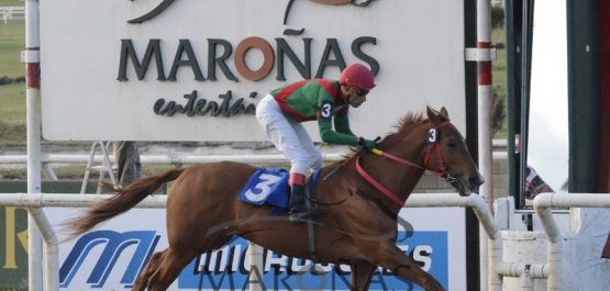 Domingo 17 de Julio de 2016 - Hipódromo Nacional de Maroñas