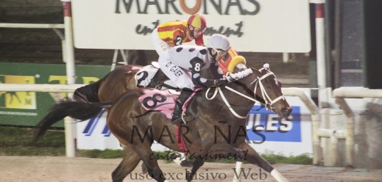 Sábado 23 de Julio de 2016 - Hipódromo Nacional de Maroñas