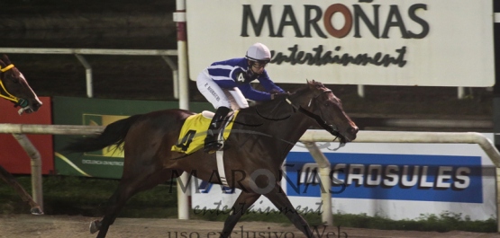 Viernes  29 de Julio de 2016 - Hipódromo Nacional de Maroñas