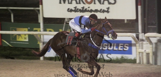 Sábado 8 de Agosto de 2016 - Hipódromo Nacional de Maroñas