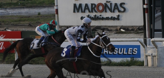 Sábado 13 de agosto de 2016 -Hipódromo Nacional de Maroñas