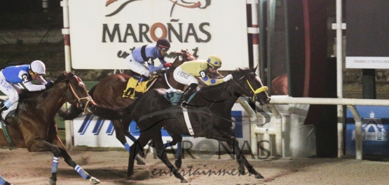 Sábado 20 de Agosto de 2016 - Hipódromo Nacional de Maroñas