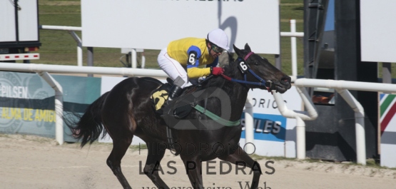 Domingo 21 de Agosto de 2016 - Hipódromo Las Piedras